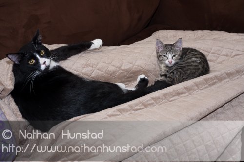 ???? and ???? chilling in a sibling photo